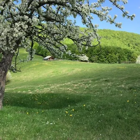 Villa брусний View House *